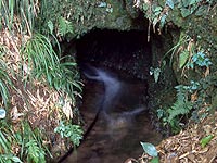 亀田の水穴