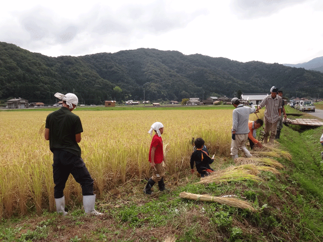 はで干し