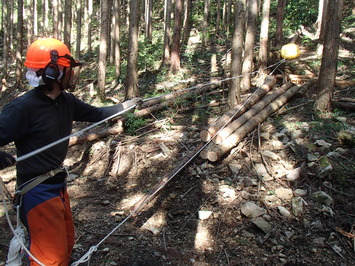 山で作業をする小林さん