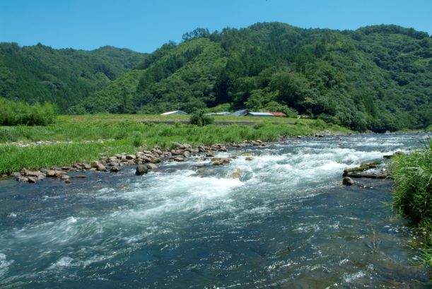 高津川（柿木）