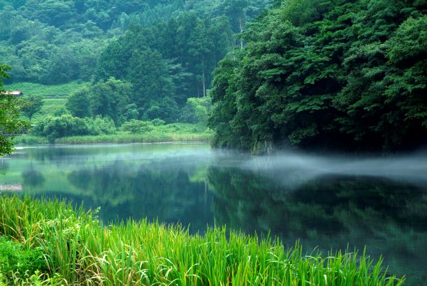 高津川（大野原）